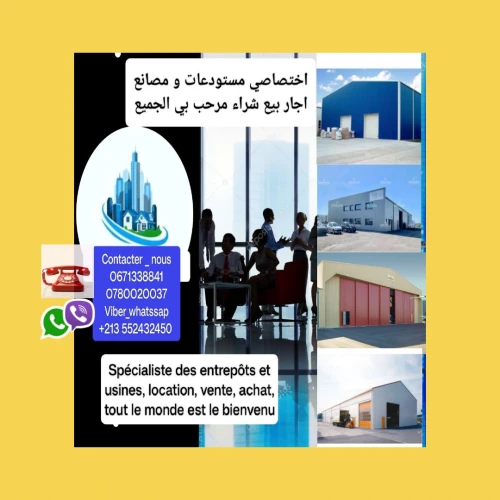 Location Hangar Blida Beni tamou