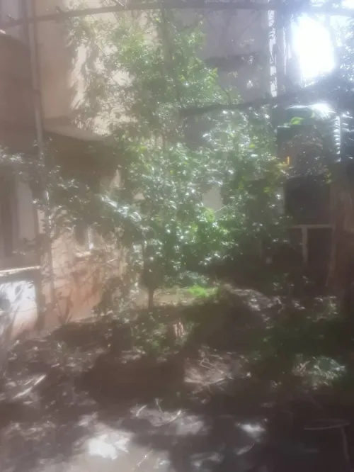 Vente Villa Alger Staoueli
