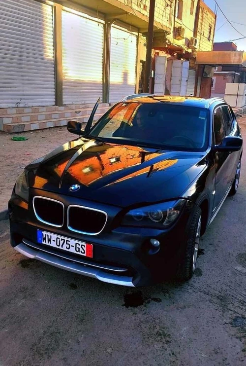 BMW X1 2010 