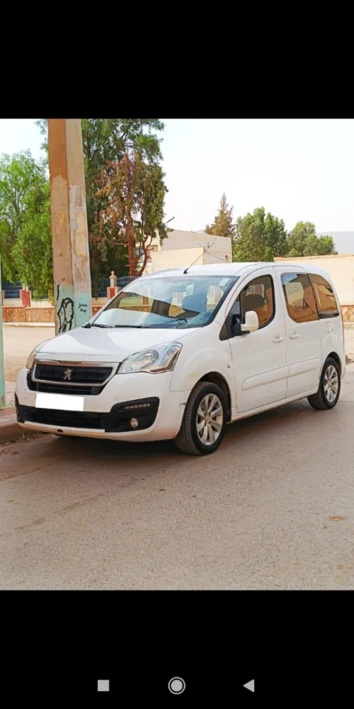 Peugeot Teppi 2015 