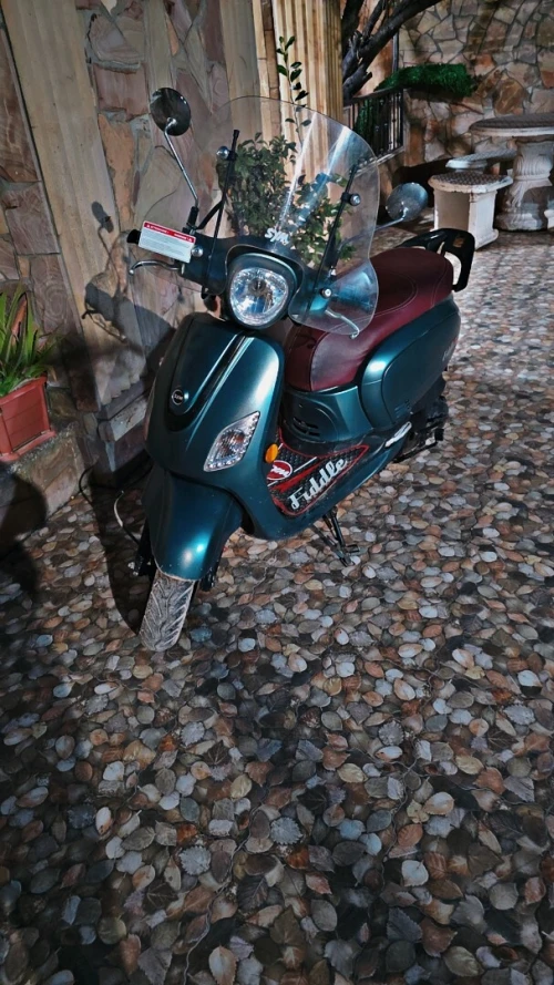 Sym Fiddle3 2022
