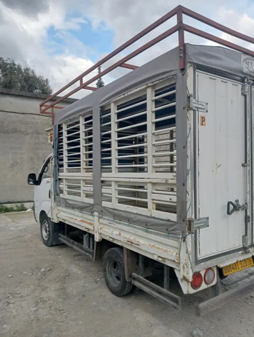 Kia K2500 2020 K2500
