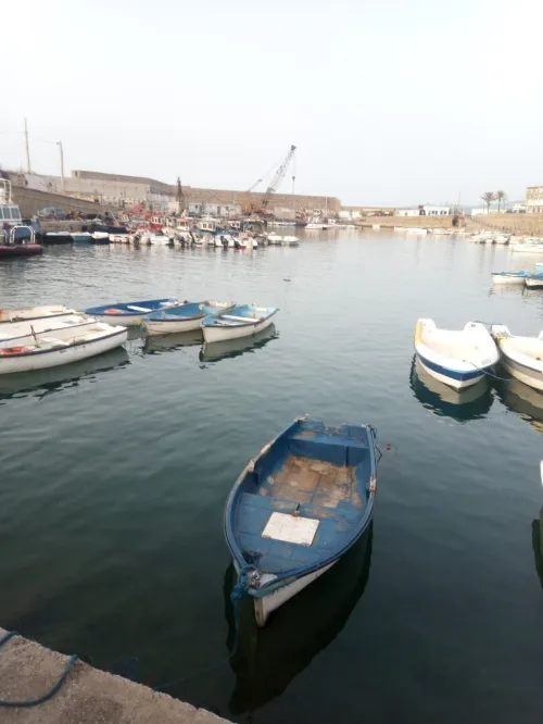 فلوكة