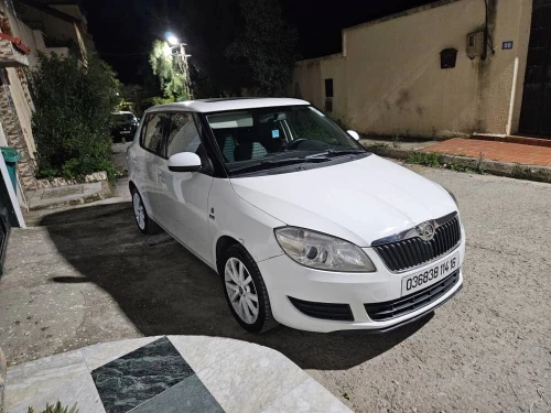 Skoda Fabia 2014 Visage