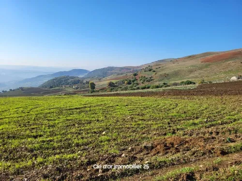 Vente Terrain Agricole Constantine Beni hamiden