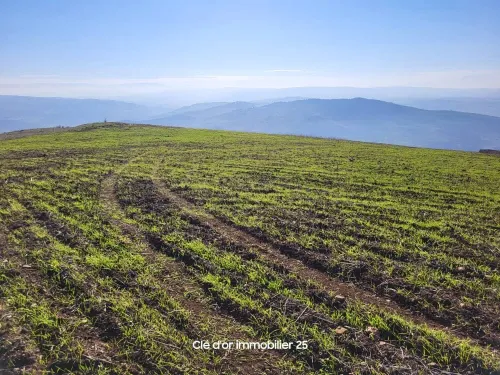 Vente Terrain Agricole Constantine Beni hamiden