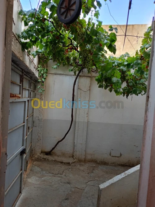 Vente Villa Médéa Medea