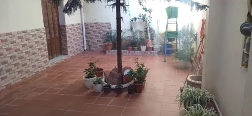 Vente Villa Blida Chiffa