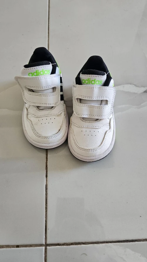 Basket adidas original 