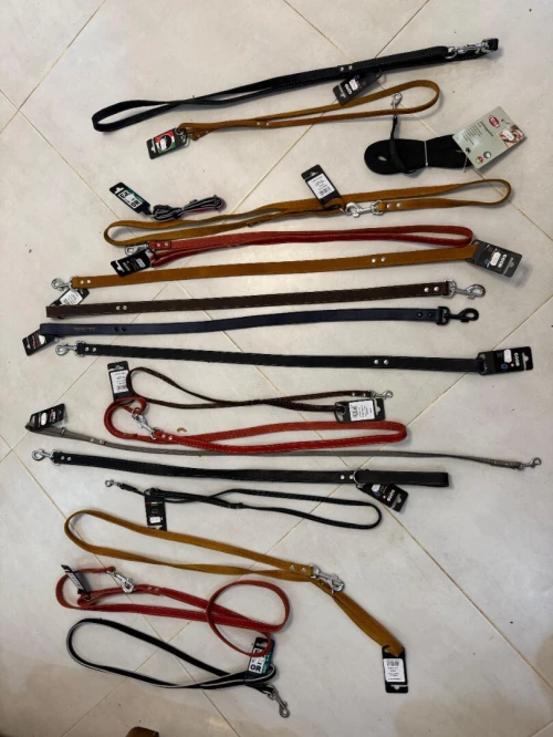 accessoires pour chien
