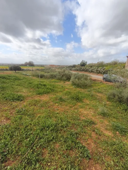 Vente Terrain Mostaganem Ain boudinar