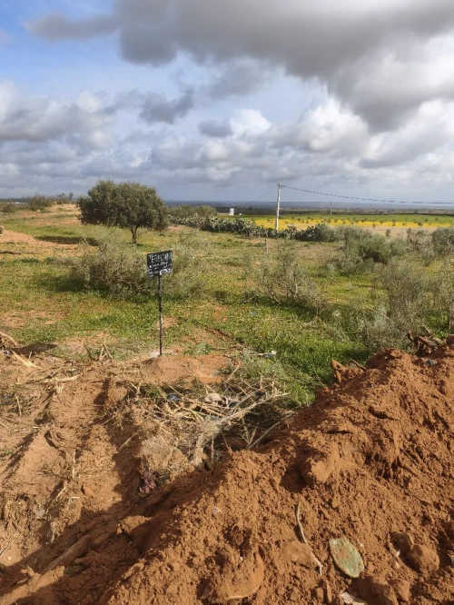 Vente Terrain Mostaganem Ain boudinar