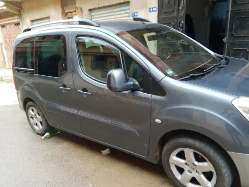Peugeot Partner 2009 Tepee