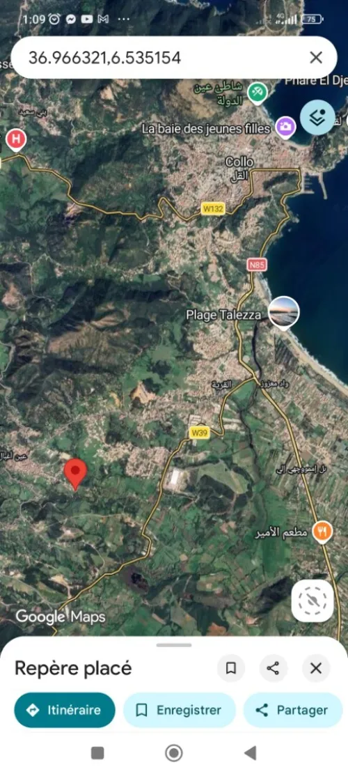 Vente Terrain Skikda Collo