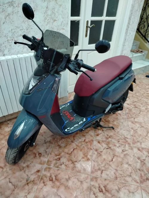 VMS Gemma 2025