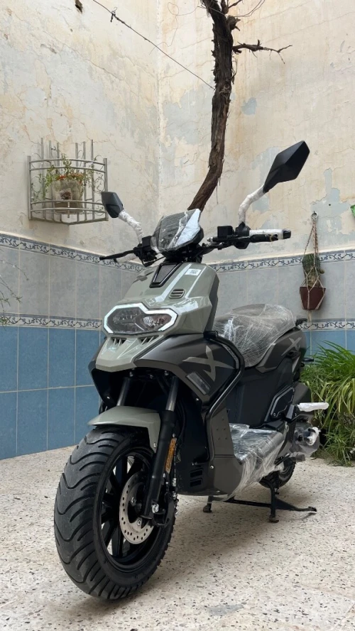 VMS BWS 2025