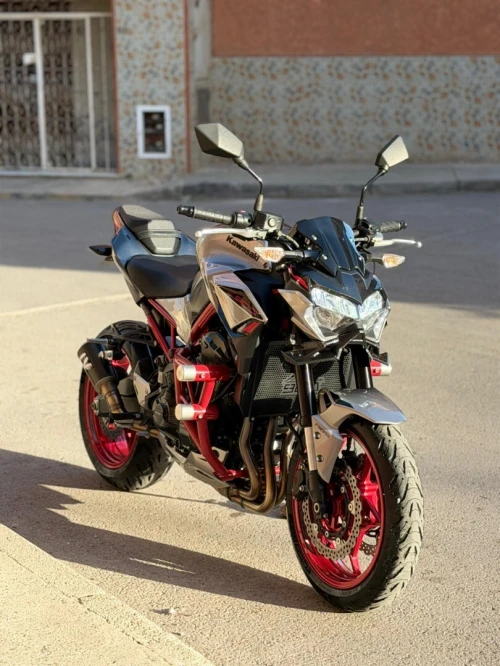 Kawasaki Z900 2025