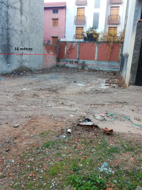 Vente Terrain Alger Bordj el kiffan