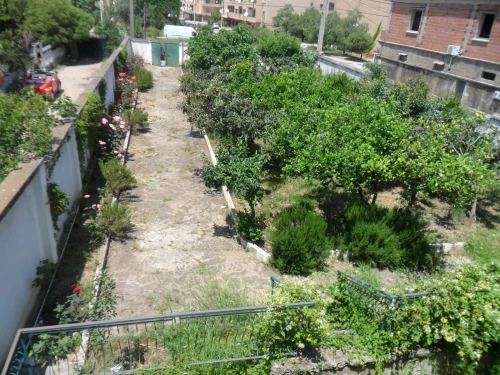 Vente Villa Blida Beni mered