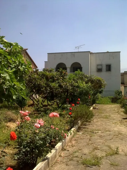 Vente Villa Blida Beni mered