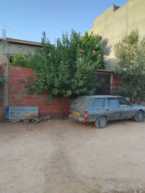 Vente Terrain Chlef Oum drou