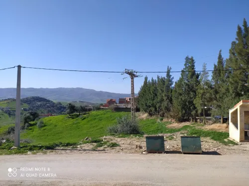 Vente Terrain Bouira Aomar