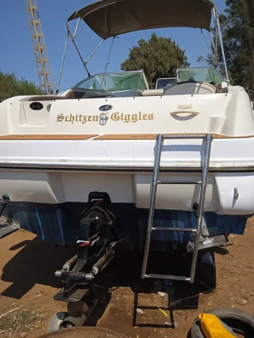 Vends Bateau sea ray 250