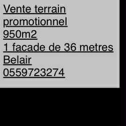 Vente Terrain Oran Oran