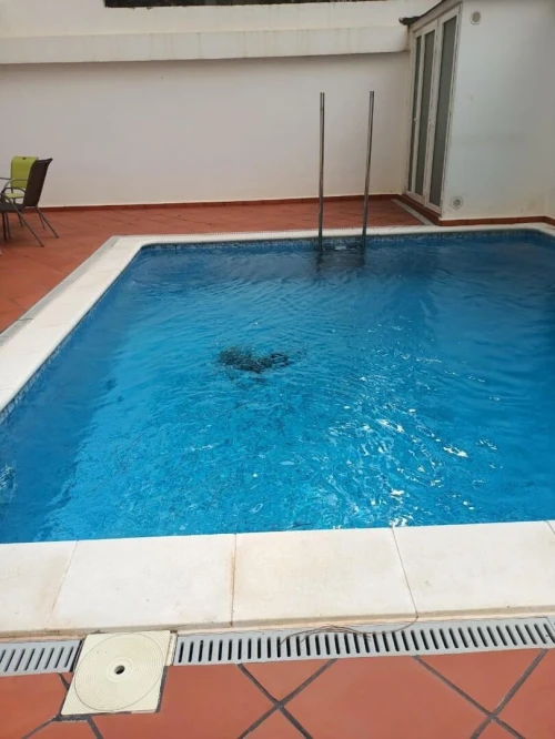 Location Appartement F4 Alger Hydra