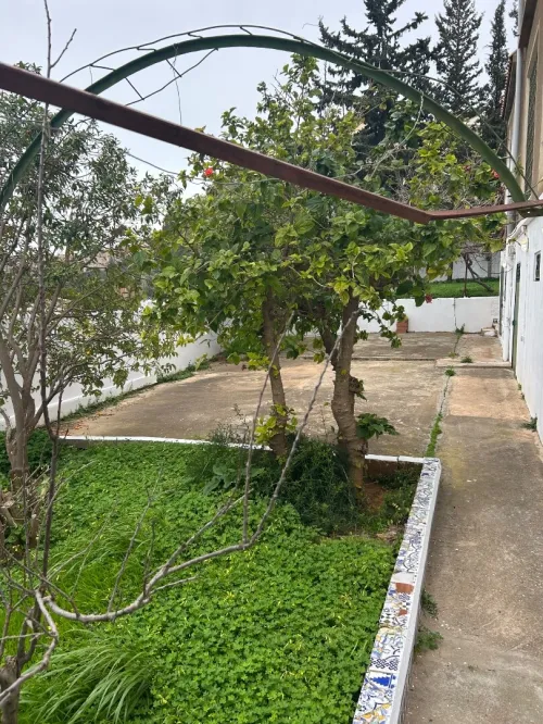 Location Villa Alger Saoula