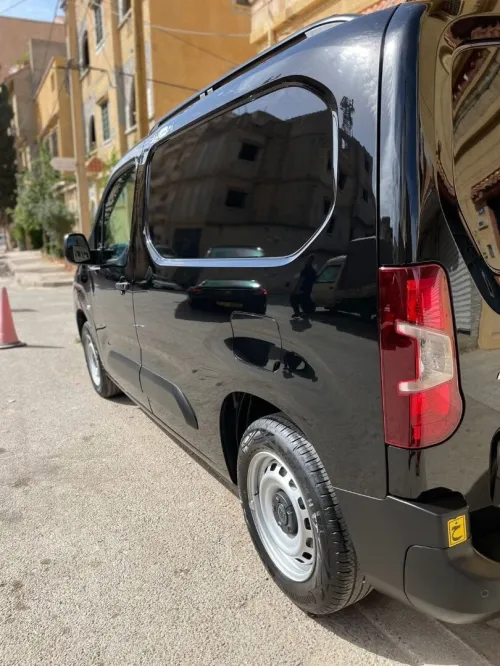 Fiat Doblo 2024 Professional