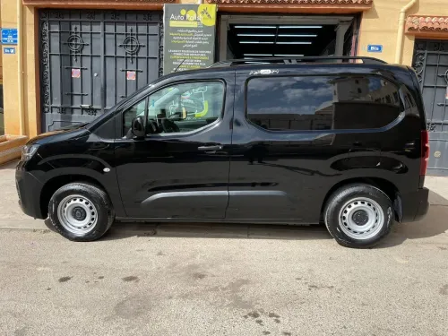 Fiat Doblo 2024 Professional