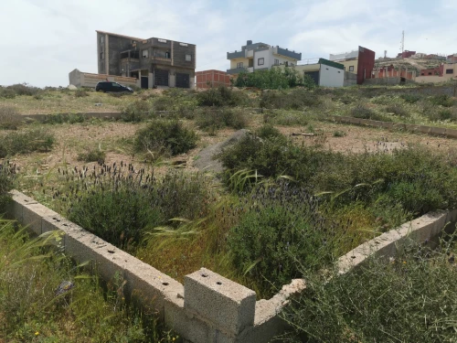 Vente Terrain Tlemcen Marsa ben mhidi
