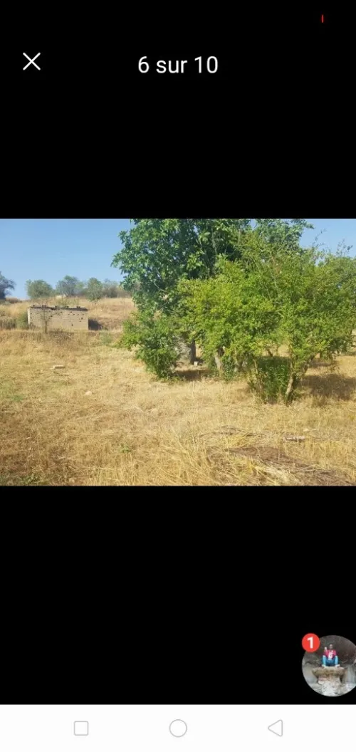 Vente Terrain Agricole Setif Hammam guergour