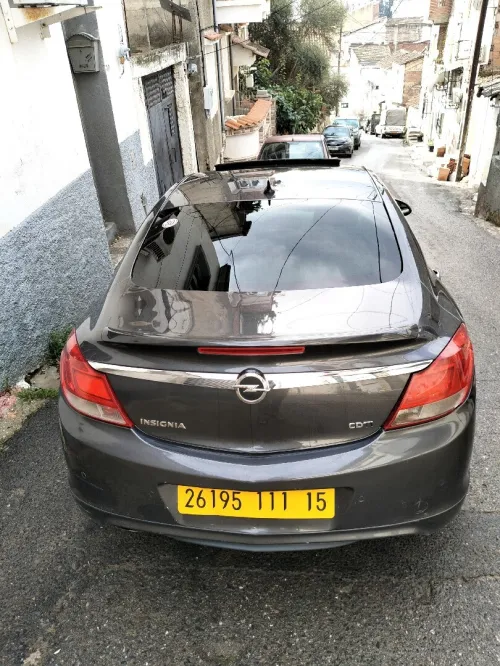 Opel Insignia 2011 OPC