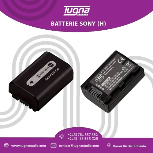 BATTERIE SONY (H)