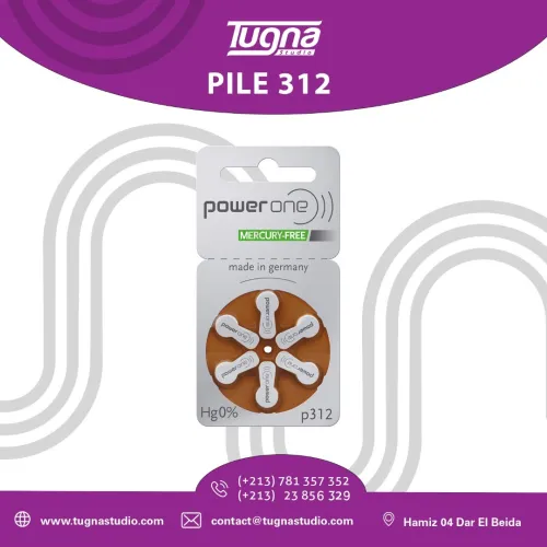  Piles Power One P312
