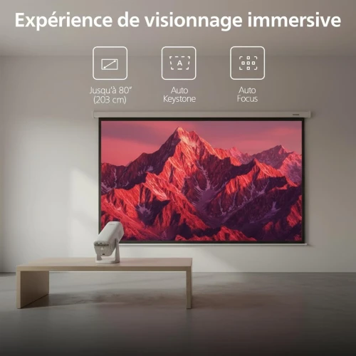 PHILIPS DATA SHOW NEOPIX 244 65" LED FULL HD
