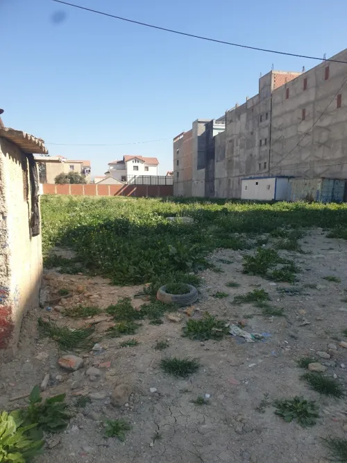 Location Terrain Boumerdes Hammedi