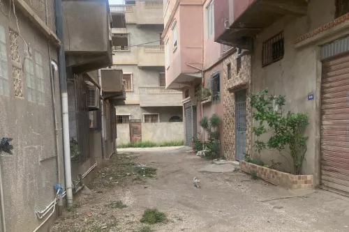 Vente Terrain Blida Blida