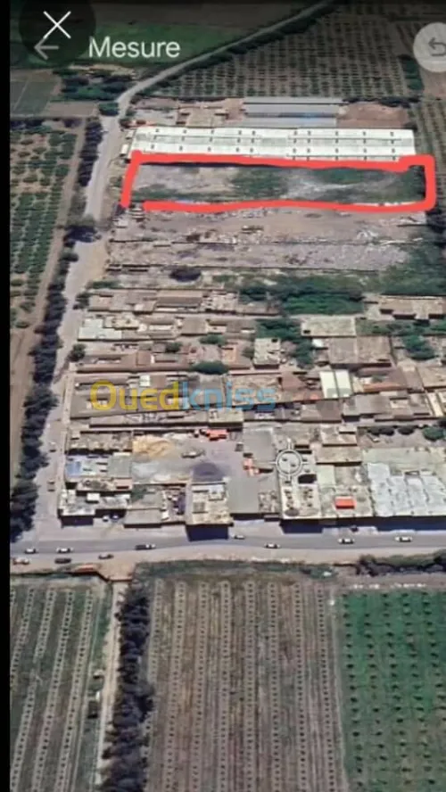 Vente Terrain Alger Ouled fayet