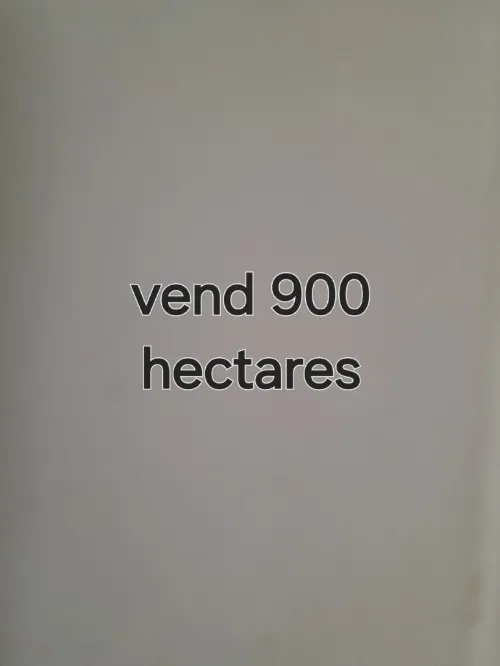 Vente Terrain Agricole Saïda Maamora