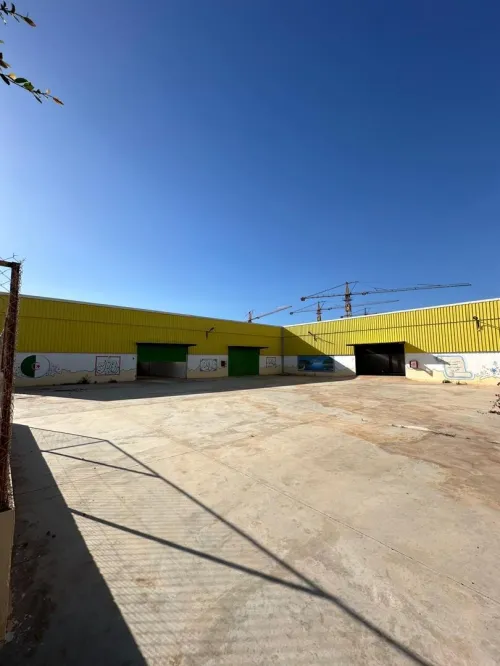 Location Hangar - Usine Aïn Defla Ain soltane