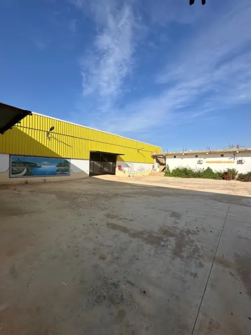 Location Hangar - Usine Aïn Defla Ain soltane