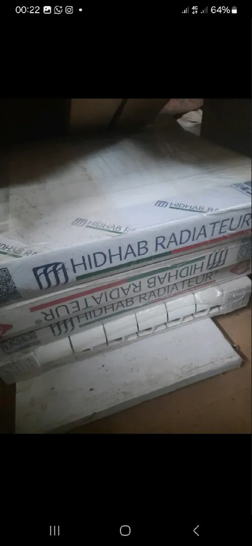 Chaudière et radiateurs IMMERGAS