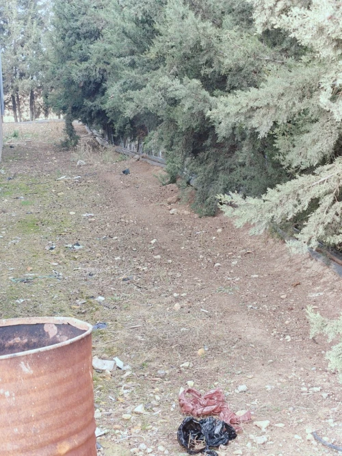 Vente Terrain Agricole Sétif Ain arnat