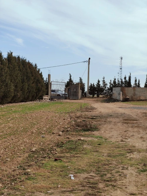 Vente Terrain Agricole Sétif Ain arnat