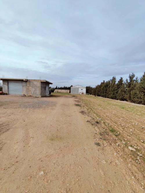 Vente Terrain Agricole Sétif Ain arnat