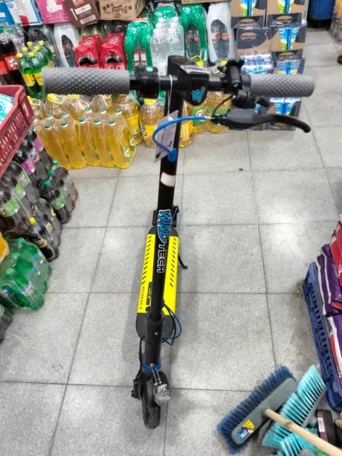Trotinette électrique v30