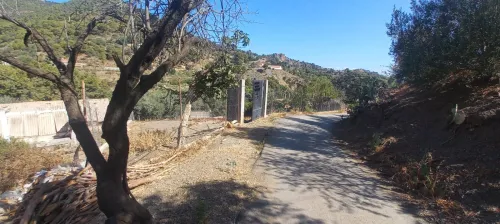 Vente Terrain Agricole Tipaza Larhat